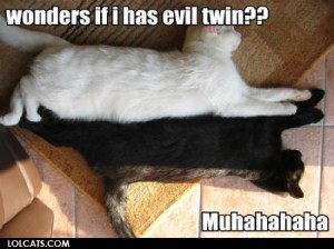 twincats
