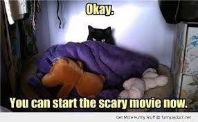 start scary movie