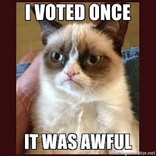 voting cat
