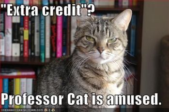 extra-credit-cat
